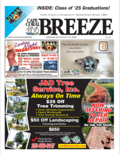 article image - 